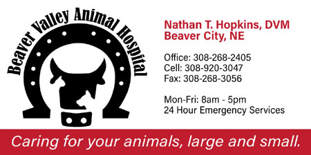 Beaver Valley Animal Hospital