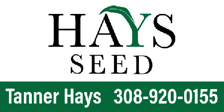 Hays Seed